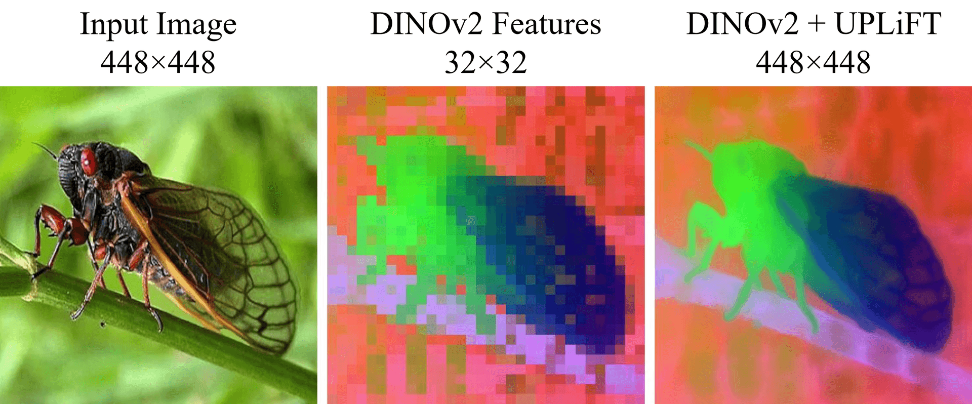 PCA visualization: Input Image, DINOv2 Features (32x32), and DINOv2 + UPLiFT (448x448) showing how UPLiFT recovers fine-grained spatial detail from coarse ViT features